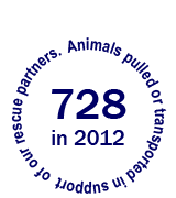 728 animals pulled or transported in support of our rescue partners in 2012