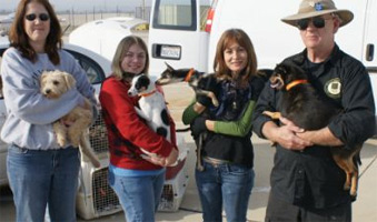 Animal Resources at San Bernadino Shelter