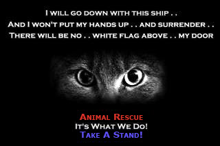 Animal Rescue, It's What We Do, Take A Stand!