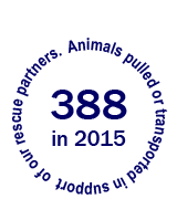 388 animals pulled or transported in support of our rescue partners in 2015