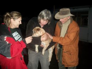 Bonnie, Isabella, and Stewart (the Vet on our team)