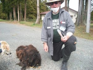 extremely matted dog with his greedy partner