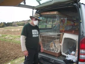 back of the van with dogs caged