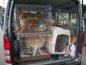 interior of van