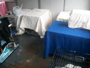 the decontamination area at the shelter