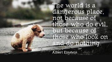 Albert Einstein quote.